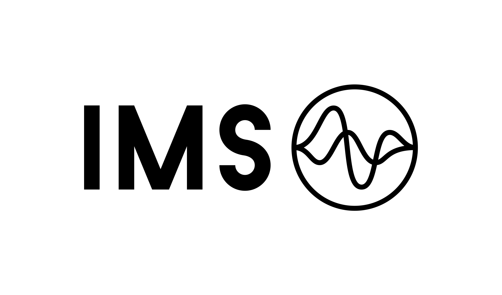 International Media Support
